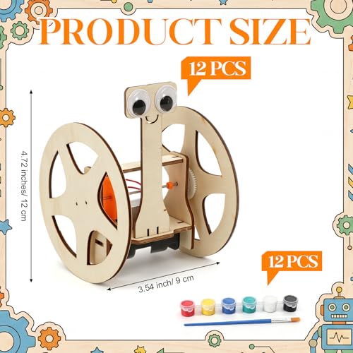 Soulchen 12 Pack Stem Craft for Kids DIY Wooden Self Balancing Robot Kits