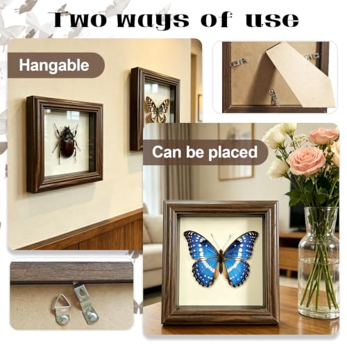 18Pcs Insect Pinning Kit, Beginner Entomology Kit with Tracing Paper, Tweezers, Scissors, Picture Frame, Insect Pins, Butterfly Pins and Foam Pinning Board.