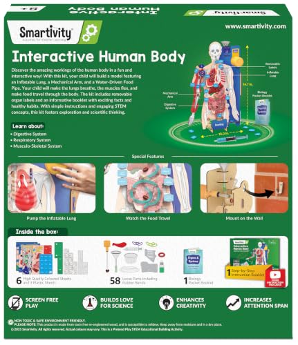 Smartivity DIY Interactive Human Body Model for Kids 8-14 Years