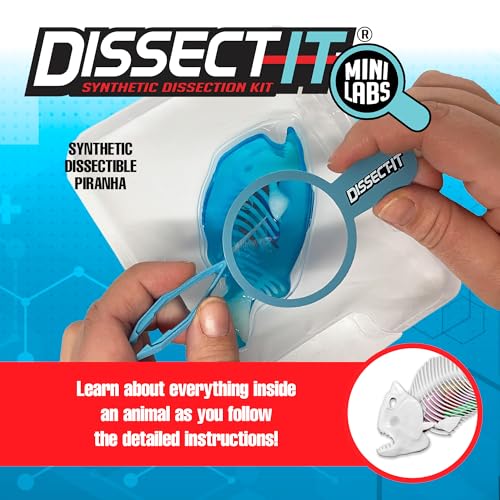Top Secret Toys Dissect-It Mini Labs Piranha Lab Dissection Kit for Kids, Realistic Synthetic Kids Science Kit - On, Biology and Animal Anatomy, STEM Toy, Ages 6+ - style: Mini Piranha