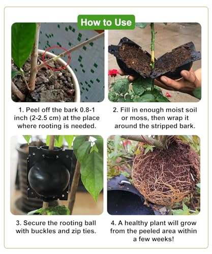 Elsjoy 30 Pack 3 Sizes Plant Root Growing Box with 120 pcs Zip Ties, Air Layering Propagation Ball Kit Reusable Tree Rooting Grafting Tools, Root Propagation Ball Set for Fast Propagation
