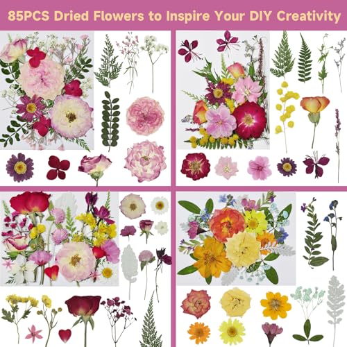 Dried Pressed Flowers for Resin - size: 85 pcs 26-Dried Flowers