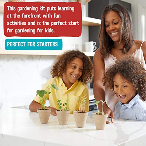 Back to the Roots Kids Science Grow Kit - 2 pk Bean and Watermelon - style: Bean and Watermelon Kit