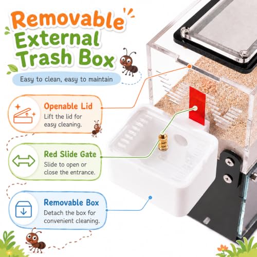 Vertical Ant Nest – Upper Activity Zone & Lower Dual-Chamber Nest, Expandable with Red Barrier, Built-in Humidity Control, Easy Observation