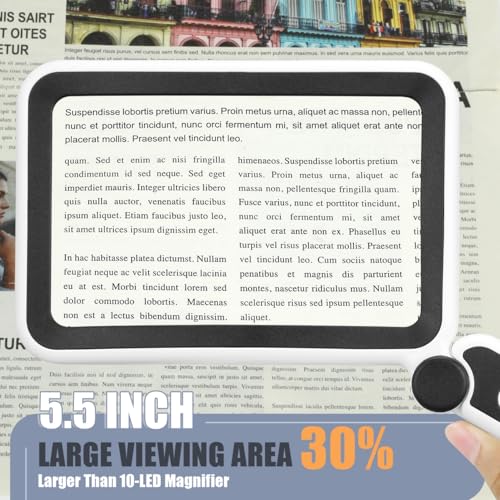 Magnifying Glass for Reading, Rechargeable 5X Large Page Magnifier with Light, Folding Handheld Dimmable Rectangle Lighted Magnifier for Reading Book Small Print for Seniors Low Vision, Black White - color: Black White