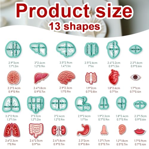 13Pcs Human Organ Polymer Clay Cutters Heart Clay Earrings Cutters for Adults Polymer Jewelry Cutter for Earrings Making Birthday Party DIY Supplies - style: Organ