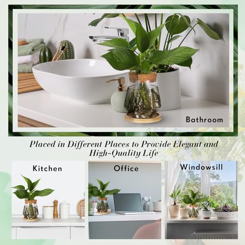 Baderke 12 Pack Propagation Vases for Plants, Cup Style - color: Transparent