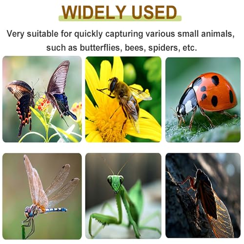 2 Pcs DelloidMaz Insect Catcher Small Animals Catcher Nature Exploration Tool to Capture Butterflies Bees Ladybugs Spiders Bug Catcher for Boys and Girls, Blue and Yellow (2)