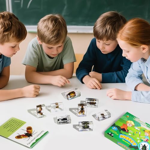 12Pcs Insect Specimens Set, Real Insect Taxidermy in Resin Specimens with Magnifier & Info Cards, Unique Science Classroom Science Education Animal Specimens, Bug Preserved, Oddities, Biology - color: 12 Pcs Insect Set 2