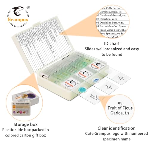 30 Prepared Microscope Slides with Specimens for Kids Students - Plants, for Biological Science Lab, Children's Science Education, Homeschooling Use - style: 30PCS Plants