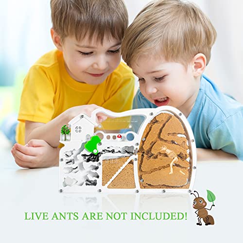 Ant Farms for Kids, Sand Ant Colony Observation Kit - color: Yellow