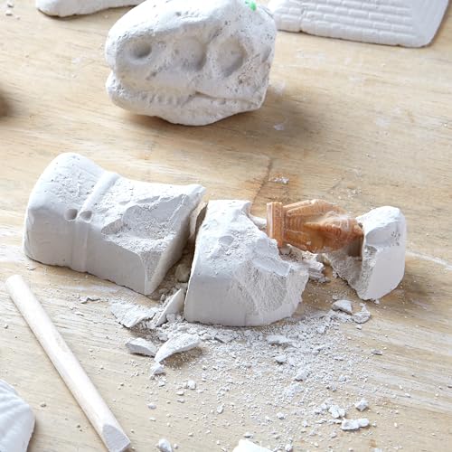 Fossil Adventures 10-in-1 Treasure Excavation Kit