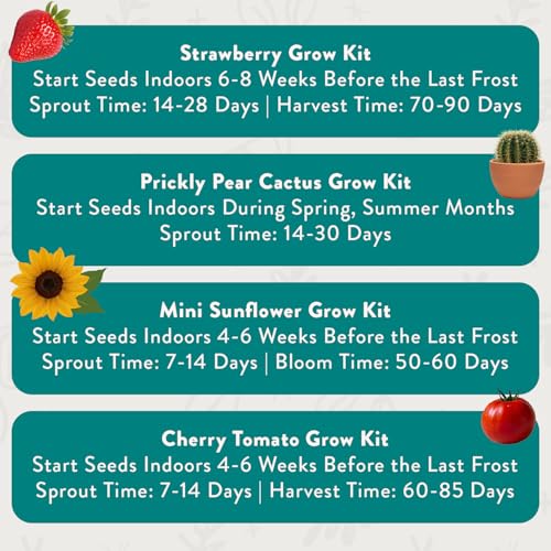 Modern Sprout Complimentary Color Grow Kits - Seed Starter Kit, Pack of 4 - size: Pack of 4