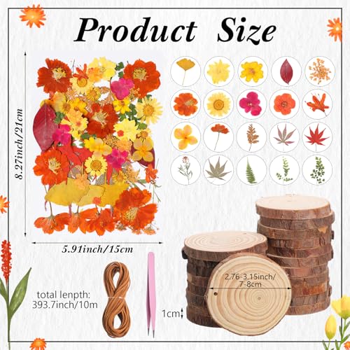 20 Set DIY Crafts Wooden Slices with Pressed Flower Fall, Warm - style: Warm