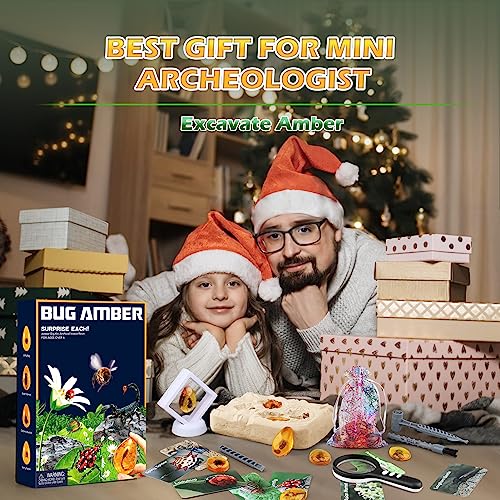 Woumserta Amber Dig Kits, Bugs Toys for Kids 5-7, 8 Insects Specimens Gifts - style: Insect