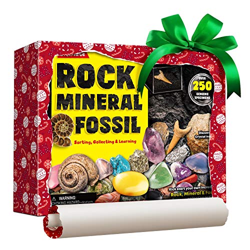 Rocks Minerals Fossils Science Kit-250+ Real Gems, Display Case, Kids Gift - style: 250 Pieces+