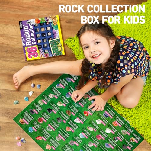 Gamerside Rock Collection Box 36 Cool Rocks, STEM Science Kit for Kids 6+ - color: 36 Rocks