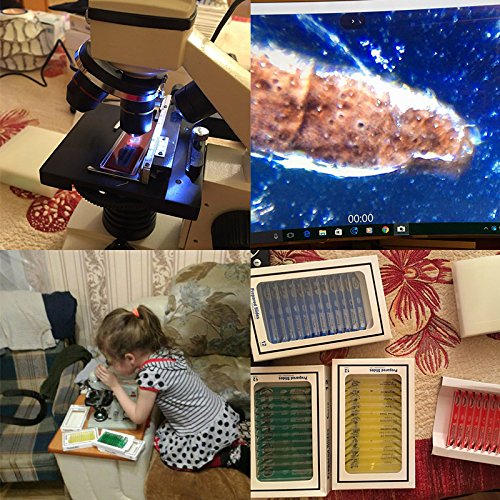 Jiusion 60Pcs Prepared Microscope Slides Specimen Set for Stereo Microscope - size: 60Pcs
