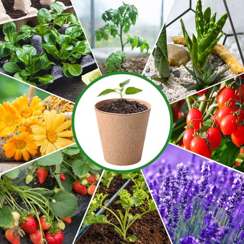 Sunnychicc 144 Pcs 4 Inch Garden Paper Pot Craft Kit Spring Crafts Bulk