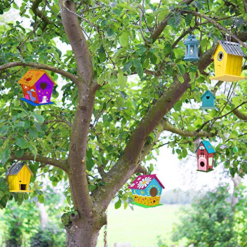 hapray 6 Pack Bird House Crafts for Kids Ages 5-8 8-12, Buildable DIY Birdhouse Kit for Children to Build, 3+ Summer Arts and Craft Projects with Paint, Boy Girl Gift Christmas