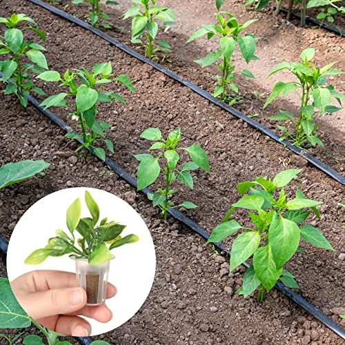 Jutom 60 Pieces Hydroponic Seed Grow Sponges Pod Kit for Indoor Outdoor Use