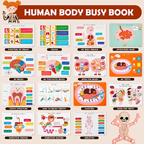 Freebear Montessori Busy Book for Kids, Human Body Anatomy Book for Toddlers, Preshool Kindergarten Learning Activities, Autism Sensory Toys, Travel Toys, Gifts for Girls and Boys 4 5 6 7 8 Years - style: Human structure 1