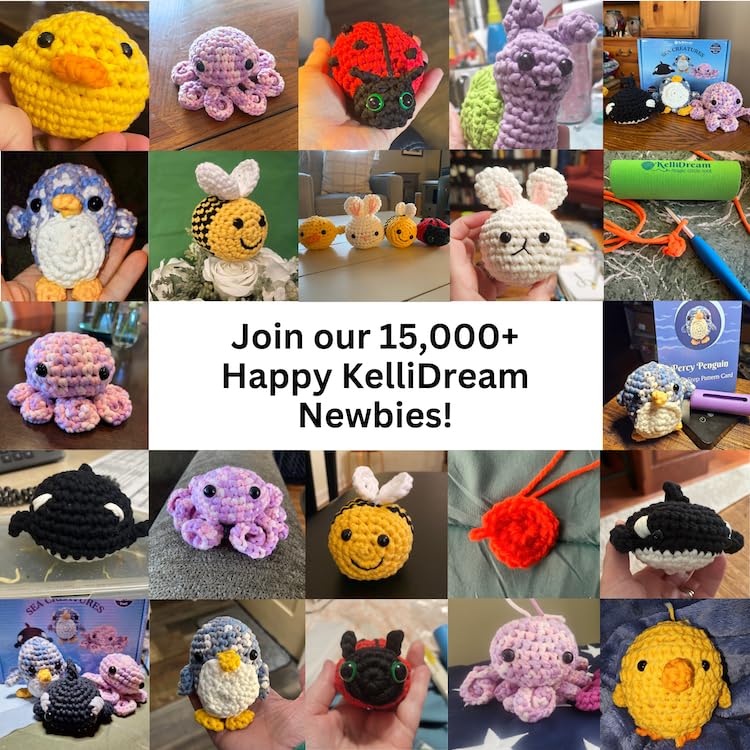 KelliDream Magic Circle Tool Inclusive Learn to Crochet Kit for Beginners; Step-by-Step Video Tutorials; All Supplies to Make Cute Amigurumi (Sunny Creatures) - color: Sunny Creatures