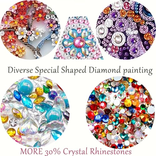 Diamond Painting Kits for Adults,Special Shape Diamond Art Kits 12 X 12inch - color: SH093