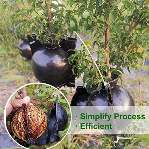 MIIIM 9 PCS Air Layering Propagation Kit, Reusable Half Clear Grafting Ball, Air Layering Pods Clear, Plant Rooting Ball for Fast Propagation (S+M+L) - size: S+M+L