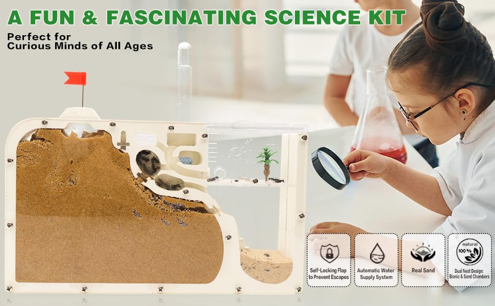Ant Farm Castle - Ant Farms for Kids with Yellow Sand Complete Tool Kit, Live Ants Habitat Science Kit - Great Gift for Boys, Girls and Student