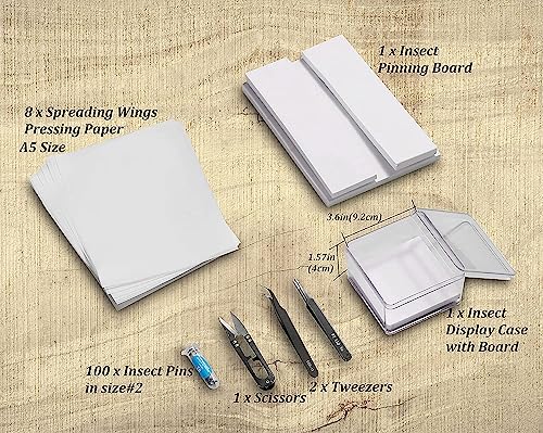 Making Insect Specimen Tools Kit, Insect Pins,Insect Pinning Board, Wings Pressing Paper,Tweezers, Scissors, Insect Display Case, Insect Collection for Bug Hobbyist/Biology Projects - size: Display Case Box Kit