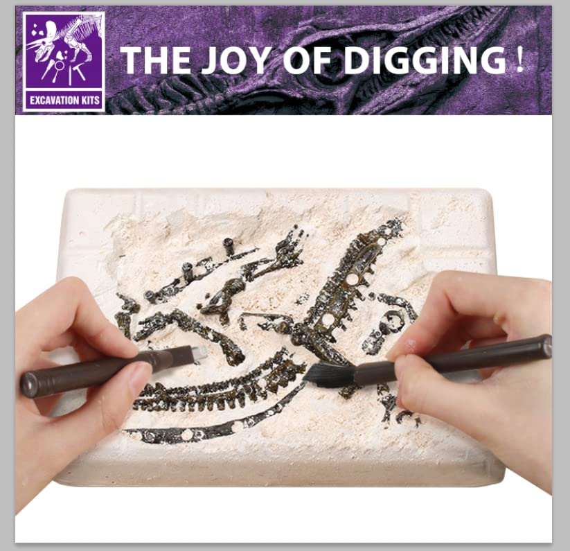 Dinosaur Fossil Dig Kit, Dino Excavation Kits for Kids, Educational Science Kits, Dinosaur Toys for Kids, Dig up 2 3D Skeleton Puzzles and 2 Dino Figures Including T-Rex, Triceratops - style: 2 Dino Skeletons+2 Dino Figures