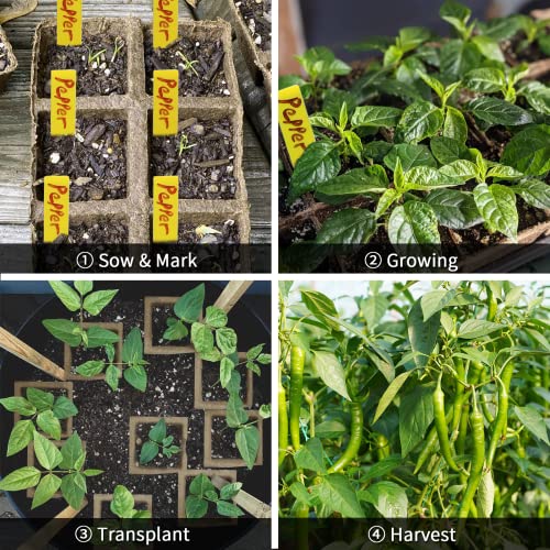 200Cells Seedling Start Trays with Drain Holes,20pcs Peat Pots Seedling Pots Biodegradable,Seedling Starter Kit,Organic Germination Plant Starter Trays(200xLabels,2xTransplant Tools,1xSpray Bottle) - size: 200cells-20pcs