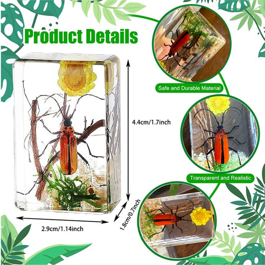 12 Pcs Insect Taxidermy in Resin, Interesting Microlandscape Insect Specimen Set for Back-to-School Gifts Oddities Bug Collection Paperweights Science Education Supplies