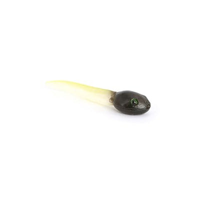 Hvogvok Frog Growth Cycle, Animal Growth Cycle Biological Model, Growth Stage Lifelike Frog Life Cycle Model Set for Kids Education Insect Themed Party Favors - style: Frog