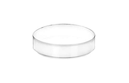 EISCO Plastic Petri Dish with Lid - 2" Diameter, 0.5" Depth - Molded in Polypropylene - Reusable - Translucent