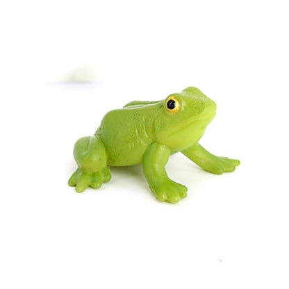 Hvogvok Frog Growth Cycle, Animal Growth Cycle Biological Model, Growth Stage Lifelike Frog Life Cycle Model Set for Kids Education Insect Themed Party Favors - style: Frog