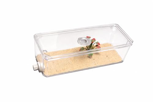 Antopia USA Test Tube Tower V2, Modular Ant Nest, Stackable, 6 Test Tubes, 3 Tubing Ports, Wall-Mount Ready, White with Black Logo (White w/Red Logo)
