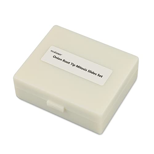 Onion Root Tips Mitosis Microscope Slides Set, 25PCS Pack Slides Show Plant Mitosis for Biology Science Class (25 Count) - color: 25 count