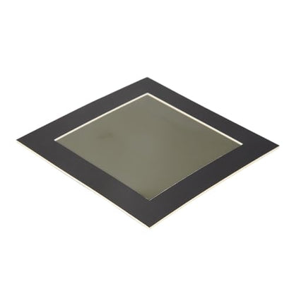 4 x 4Inch Magnetic Field Viewing Film,Magnetic Field Viewer,Magnetic Flux Display,Magnet Pattern Detector,for Scientific