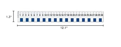 hand2mind 12 inch Flexible Safe-T Plastic Beginner Rulers, Set of 12