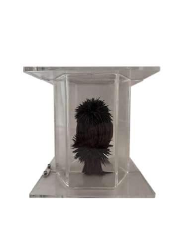 Sci-Supply Magnetic Lines of Force Demonstrator – Iron Filings Magnetic Field Viewer with Hinged Acrylic Cube & Removable Cylindrical Magnet – Physics & STEM Classroom Experiment Tool