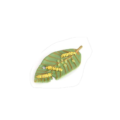 Butterfly Growth Cycle, Animal Growth Cycle Biological Model, Growth Stage Lifelike Butterfly Life Cycle Model Set for Kids Education Insect Themed Party Favors - style: Butterfly