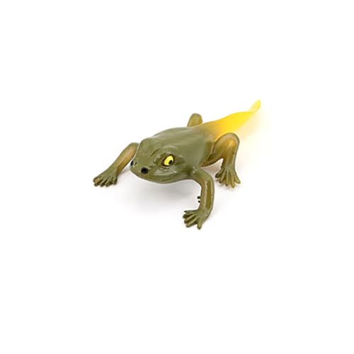 Hvogvok Frog Growth Cycle, Animal Growth Cycle Biological Model, Growth Stage Lifelike Frog Life Cycle Model Set for Kids Education Insect Themed Party Favors - style: Frog