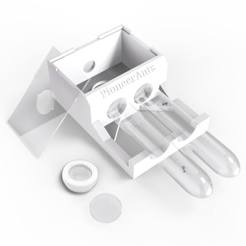 Transparent Mini Ant Farm with Dual Test Tubes for Thriving Ant Colony Observation - color: white