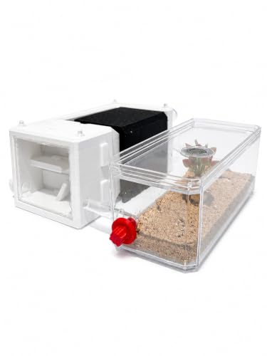 Desktop Ant Farm(White) - color: White