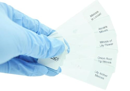 Prepared Animal Plant Cell Mitosis Meiosis Amitosis Comparison Microscope Slides Set, 5pcs Specimens to Display with Students in Biology Class (Mitosis & Meiosis)