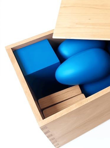 Premium Montessori Geometric Solids with Matching Cards, Solid Beechwood 3D Shapes, Plane Figures, Stands & Cards, Sensorial Geometry Materials for Spatial Awareness, Homeschool Classroom Kids 3-9