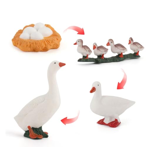 Montessori Life Cycle Animal Figurines Learning & Education Toys, Plastic Insect Life Cycle Toys, Preschool Learning Activities (Hen Goose Duck) - color: Hen Goose Duck