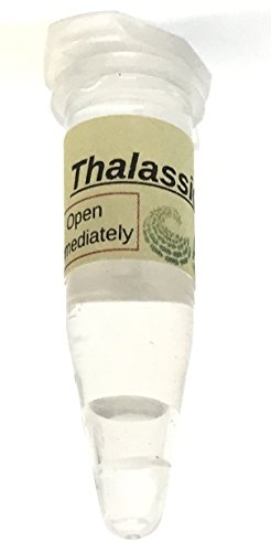 Algae Research Supply Algae Culture Thalassiosira Pseudonana, Perfect for School Science Fairs/Projects, Experiments & Classrooms (1.7mL) - color: Thalassiosira pseudonana, size: 1.7 mL